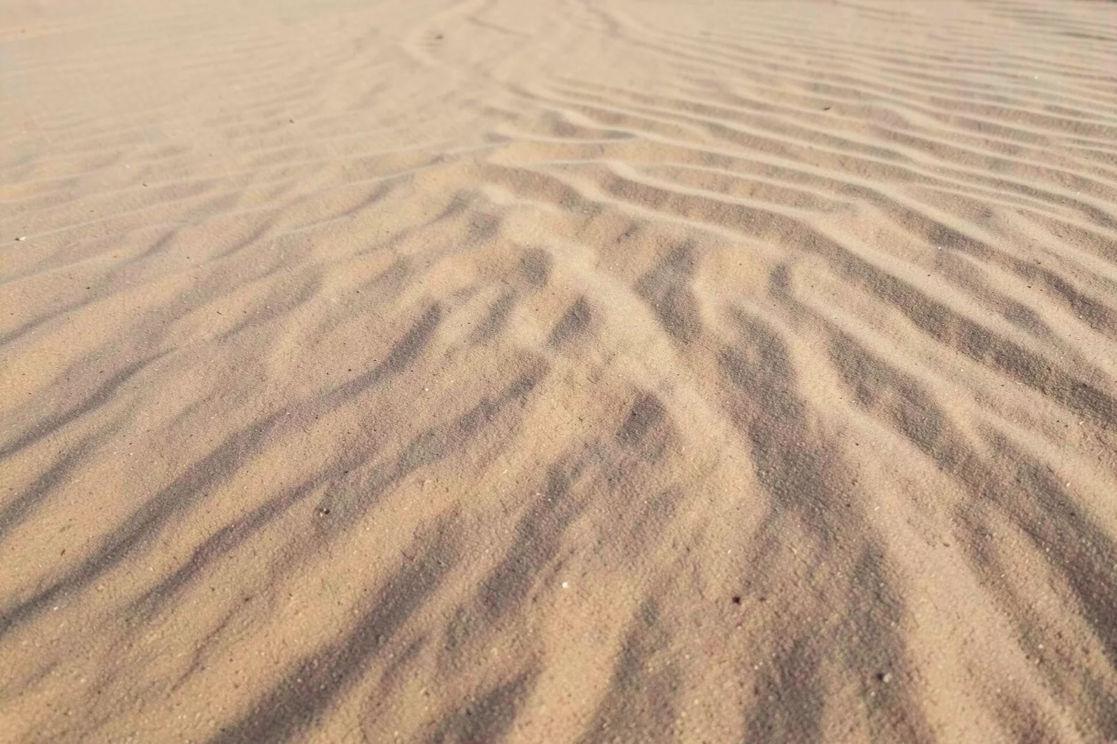 Desert Sand Ripples