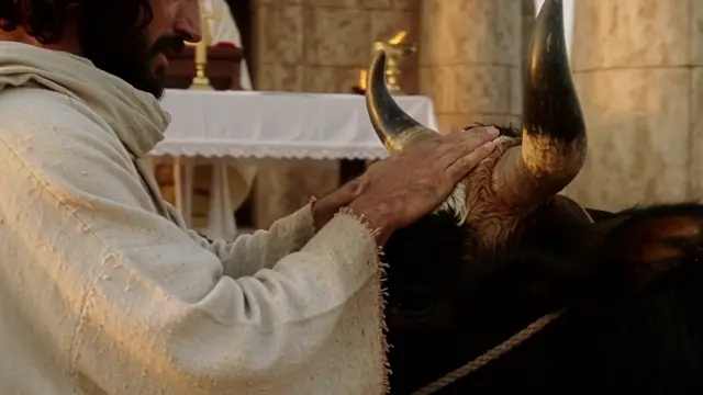Hands on the Offering — Leviticus 1:4